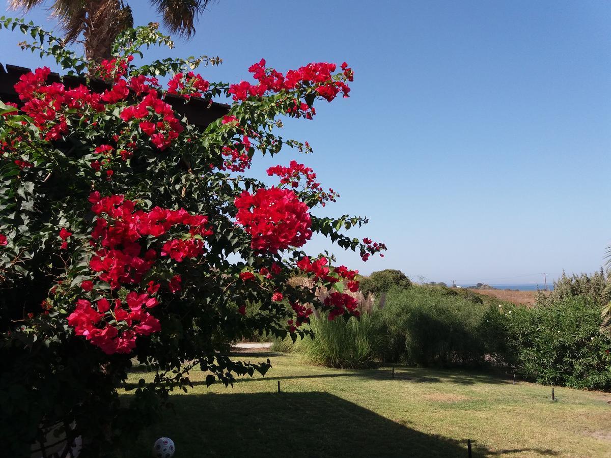 Villa Kos Mastichari  Ngoại thất bức ảnh